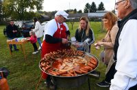 beskucnici (15) beskucnici (15)