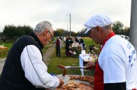 beskucnici (16) beskucnici (16)