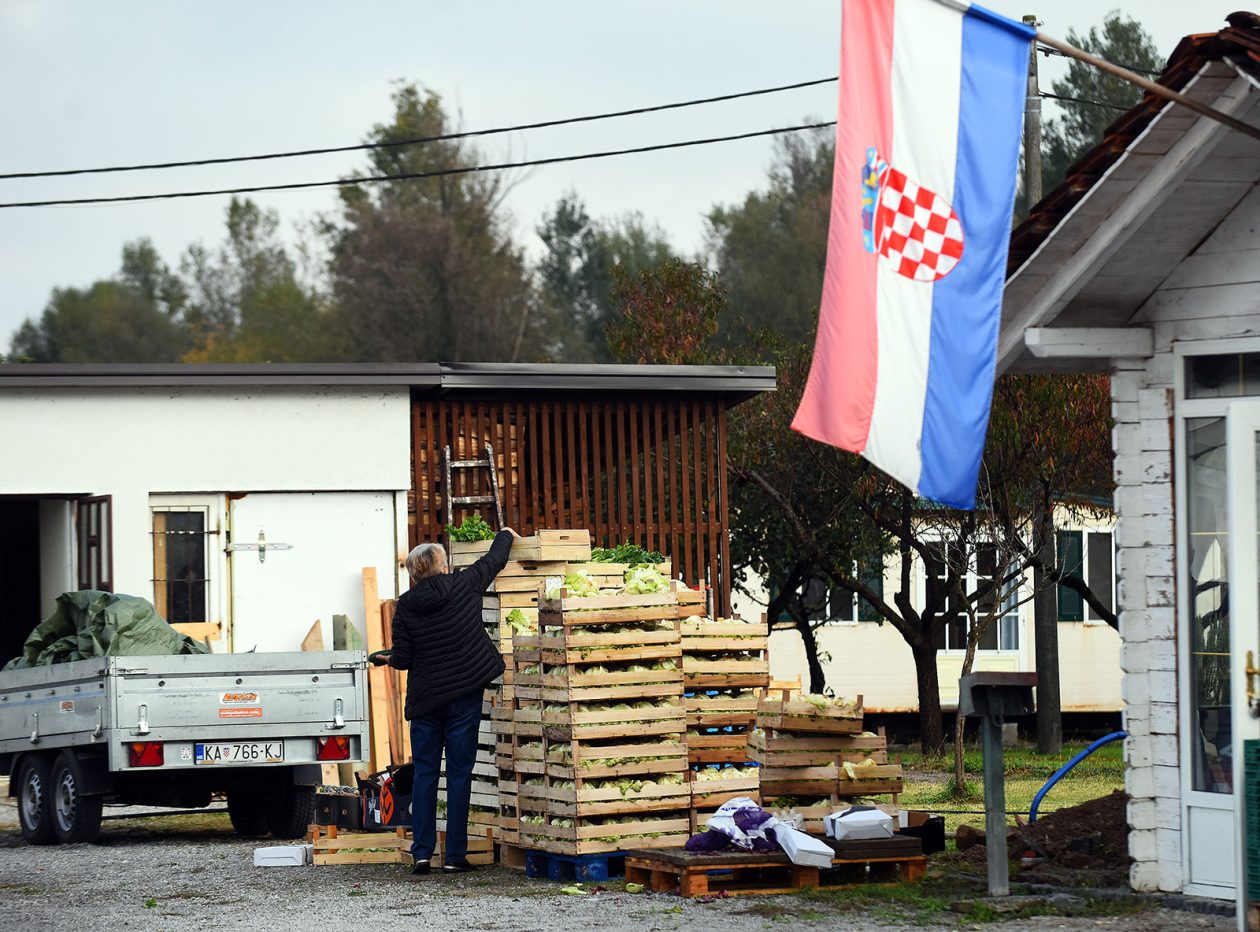 beskucnici (20) beskucnici (20)