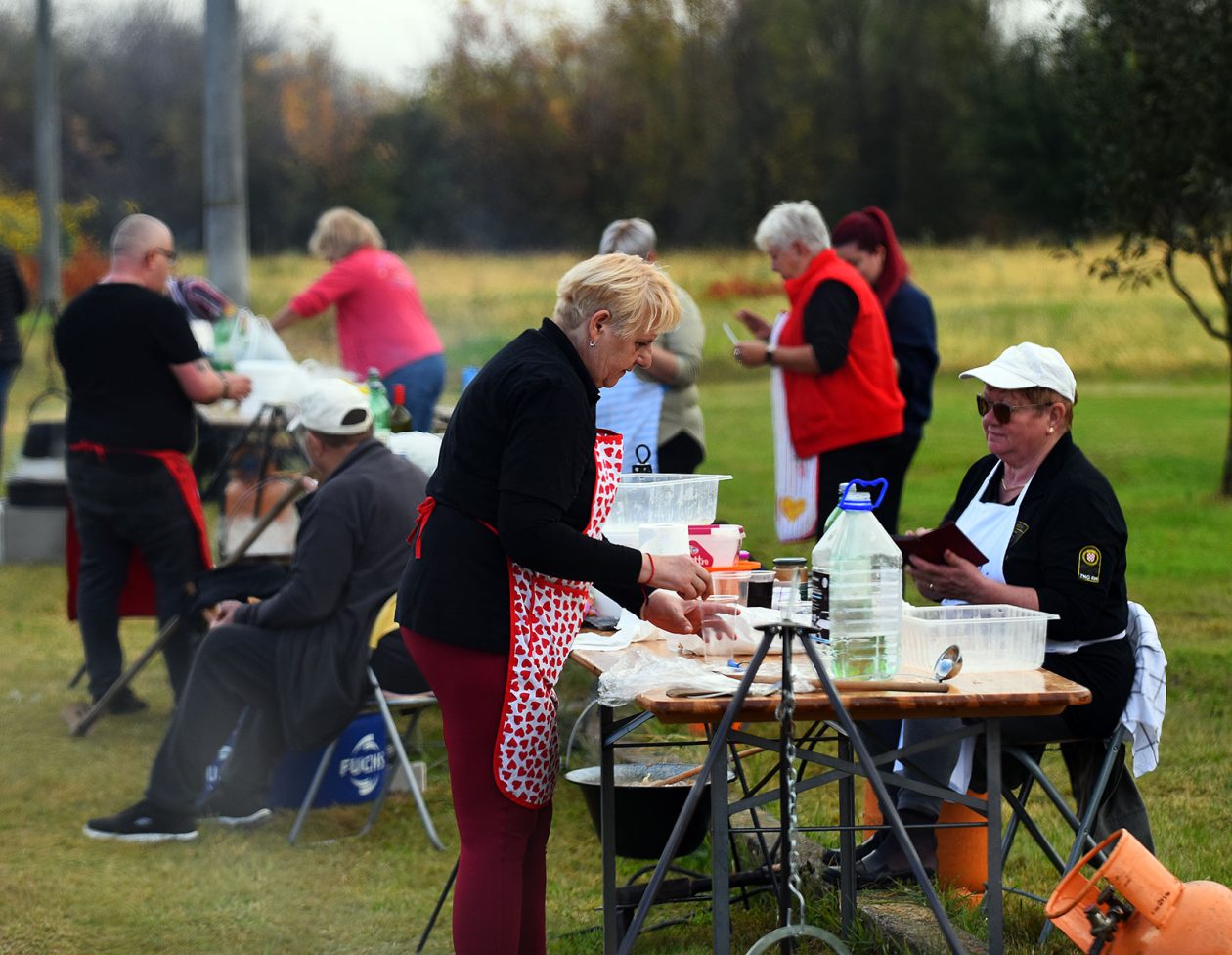 beskucnici (3) beskucnici (3)
