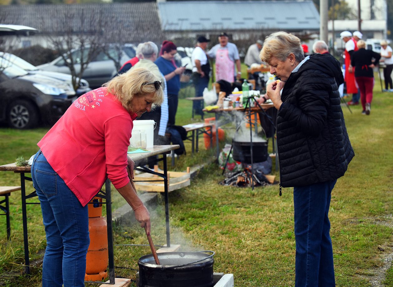 beskucnici (4) beskucnici (4)