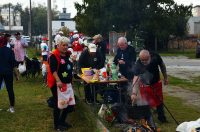 beskucnici (8) beskucnici (8)