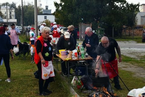 beskucnici (8) beskucnici (8)