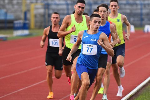 cc6dac5c9cfb72a541440051dd503798-view_article_new