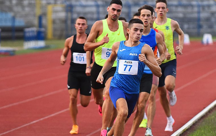 cc6dac5c9cfb72a541440051dd503798-view_article_new