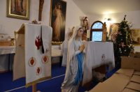 centar za beskunike_badnjak 8