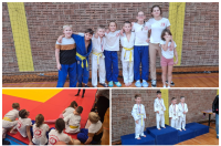 collage-judo