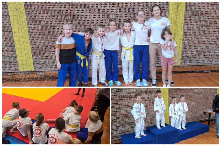 collage-judo collage-judo