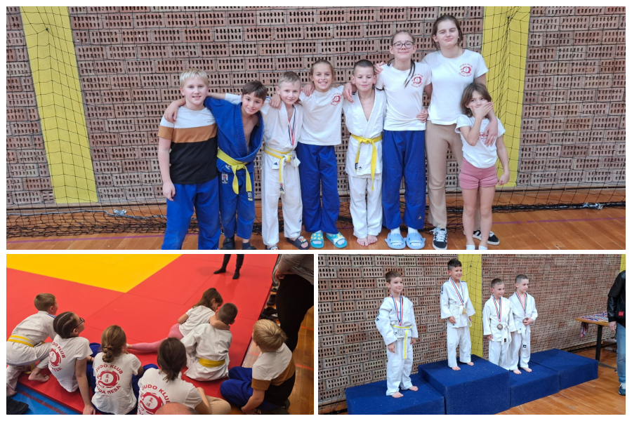 collage-judo
