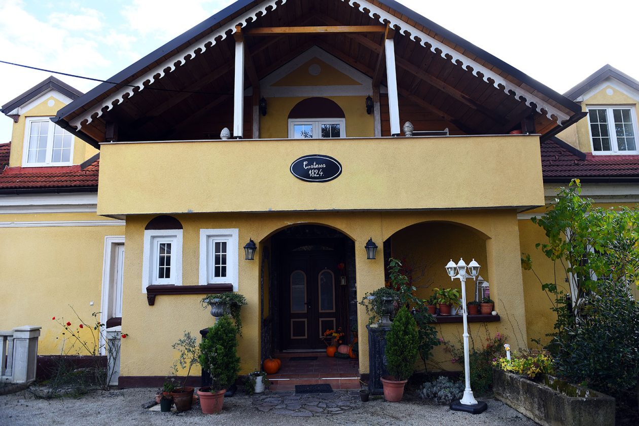 contessa draganic (10)