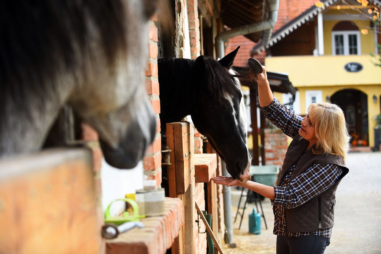 contessa draganic (15)