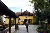 contessa draganic (16)