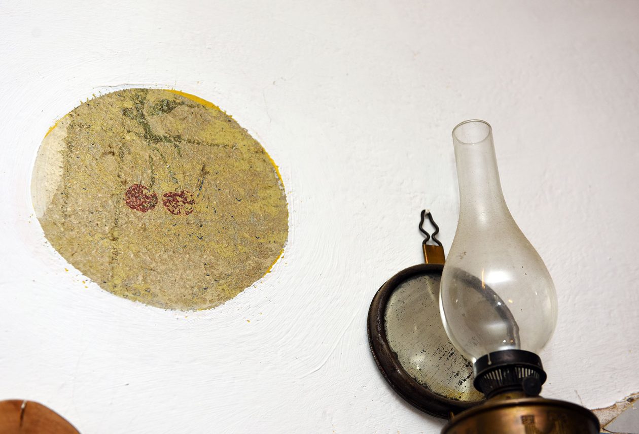 contessa draganic (19)