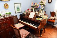 contessa draganic (22)