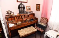 contessa draganic (24)