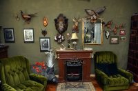 contessa draganic (27)