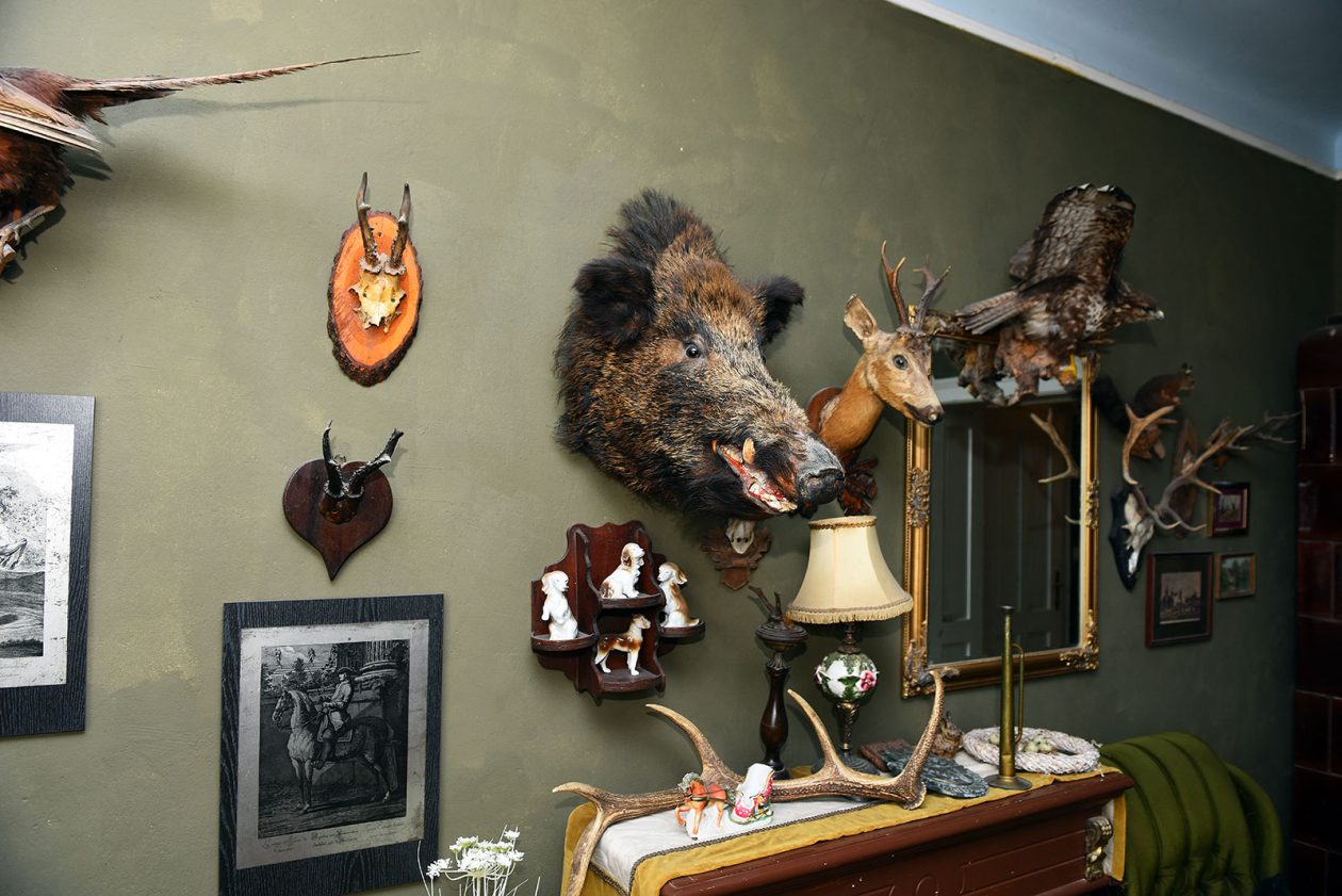 contessa draganic (28)