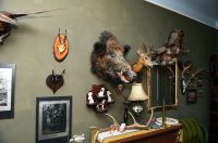 contessa draganic (28)