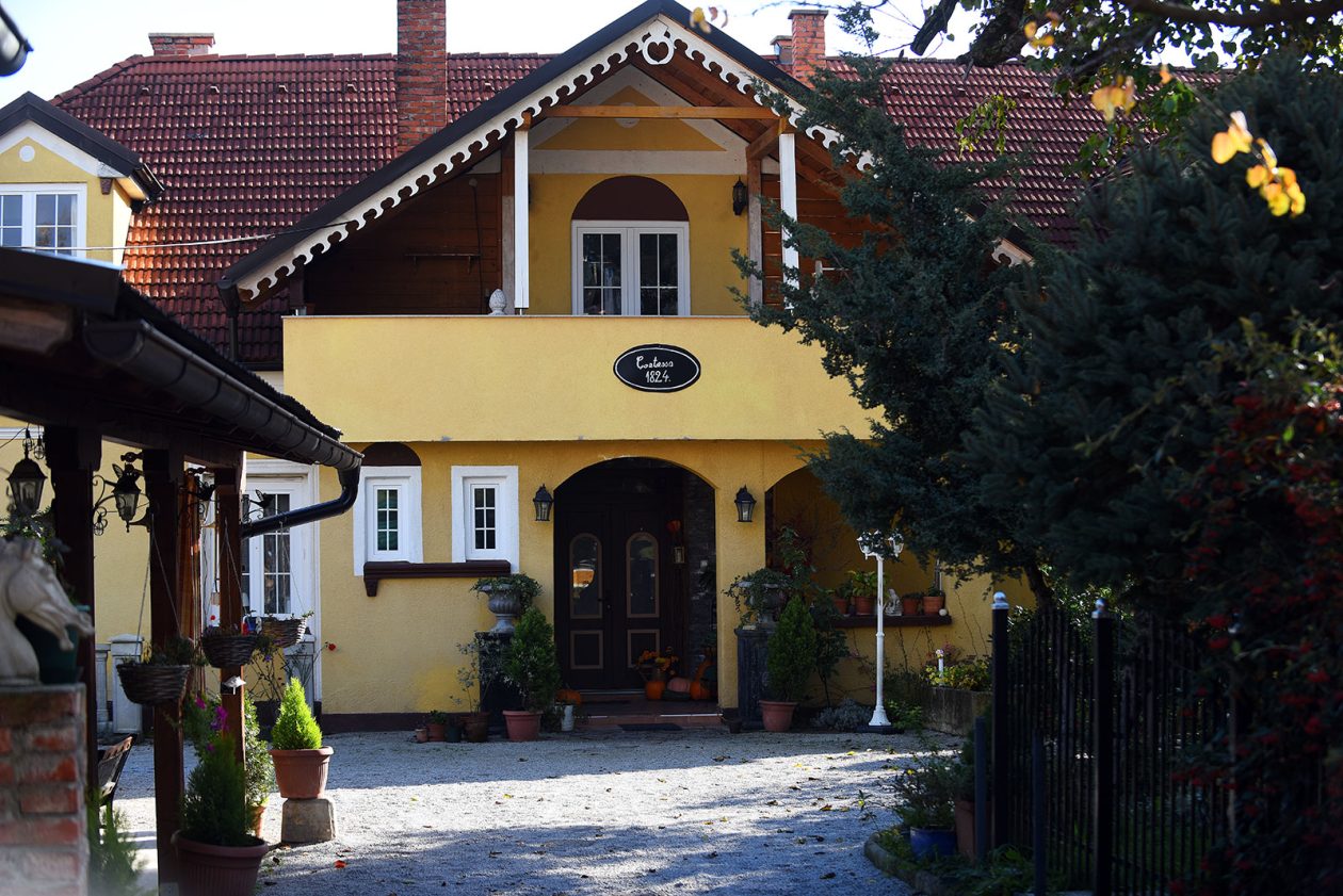 contessa draganic (3)