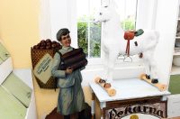 contessa draganic (31)