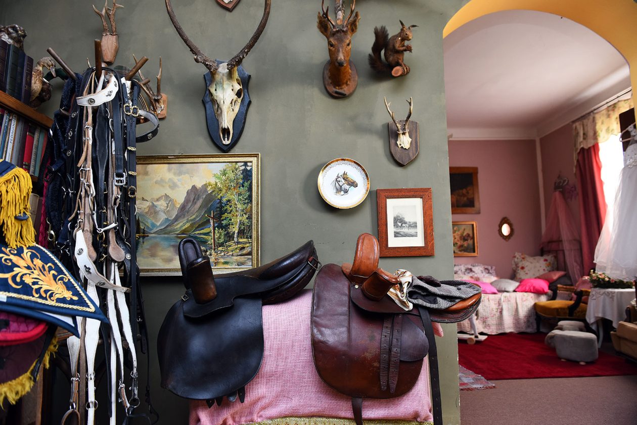 contessa draganic (37)