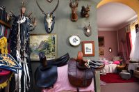 contessa draganic (37)