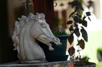 contessa draganic (4)