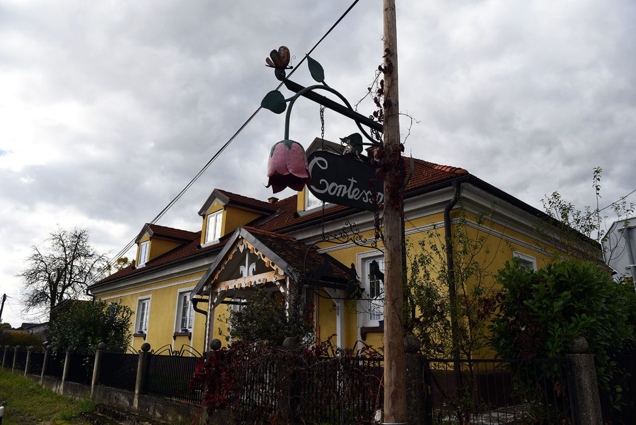 contessa draganic (42)