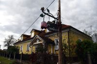 contessa draganic (42)