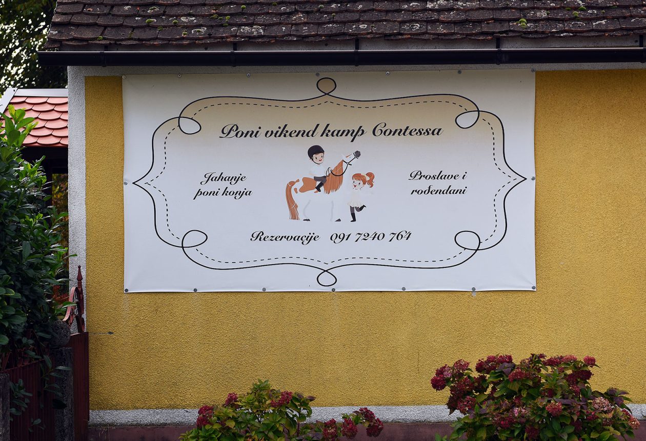 contessa draganic (46)