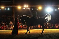 contessa draganic (49)