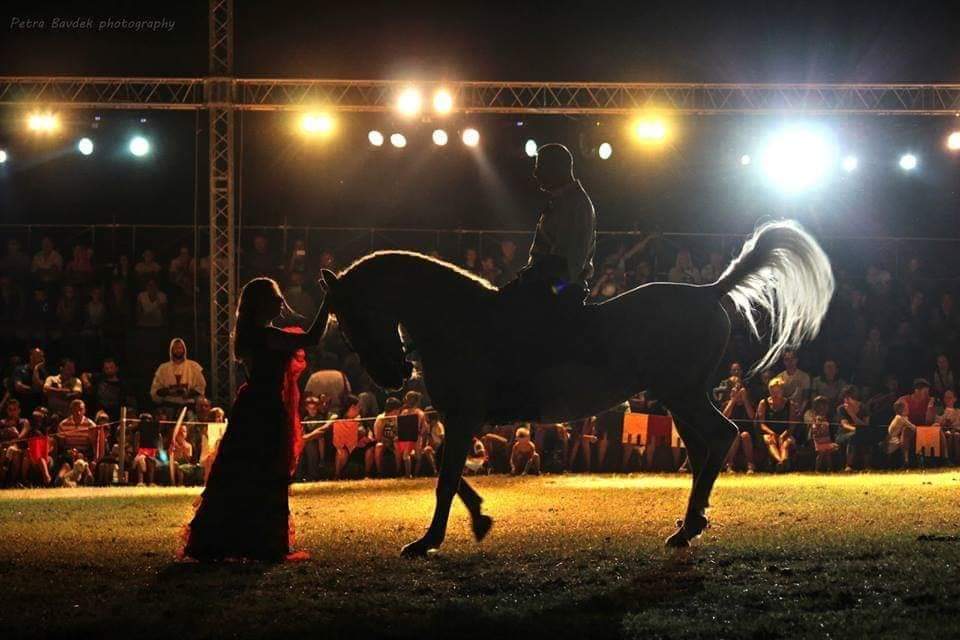 contessa draganic (49)