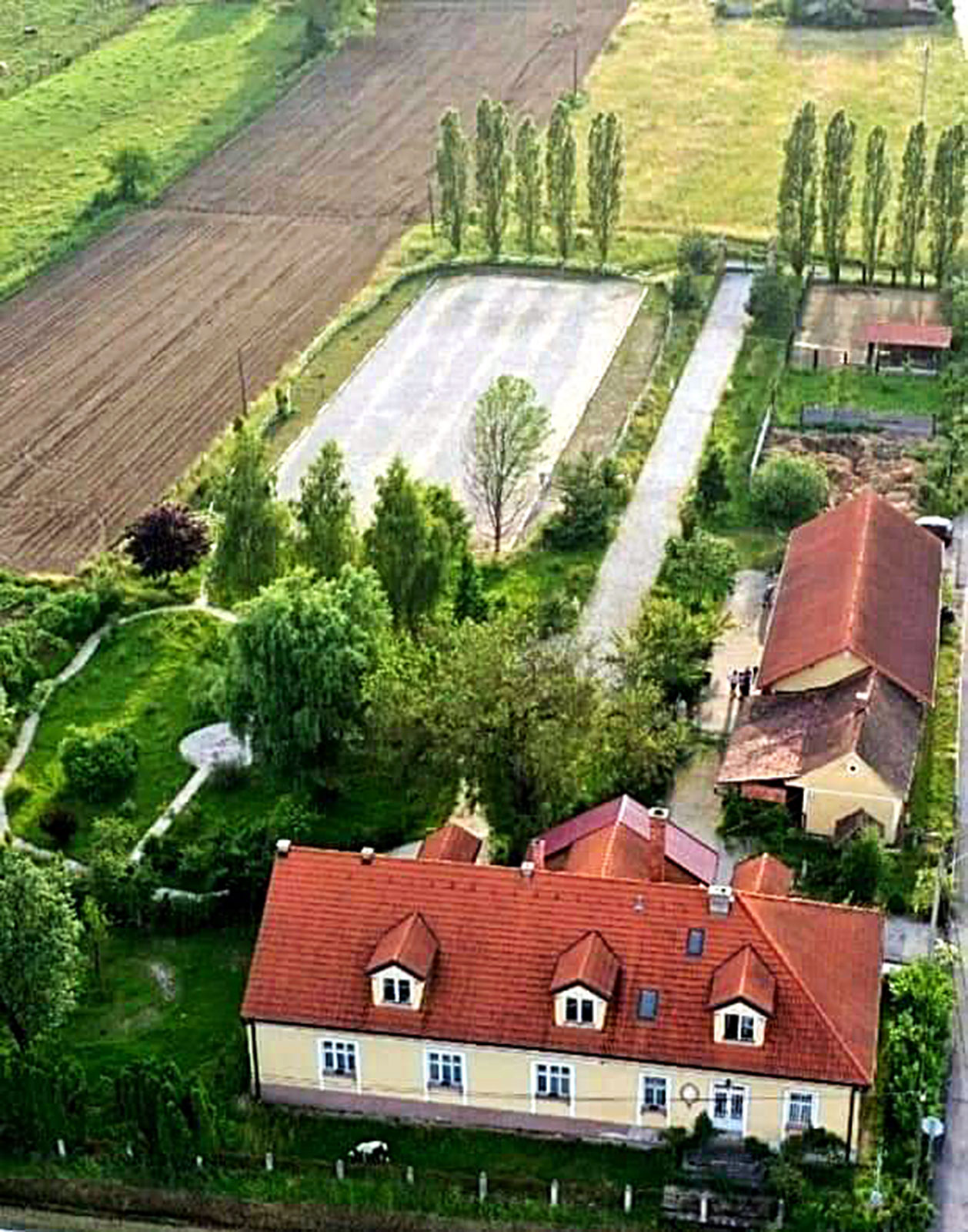 contessa draganic (50)