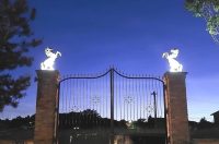 contessa draganic (51)