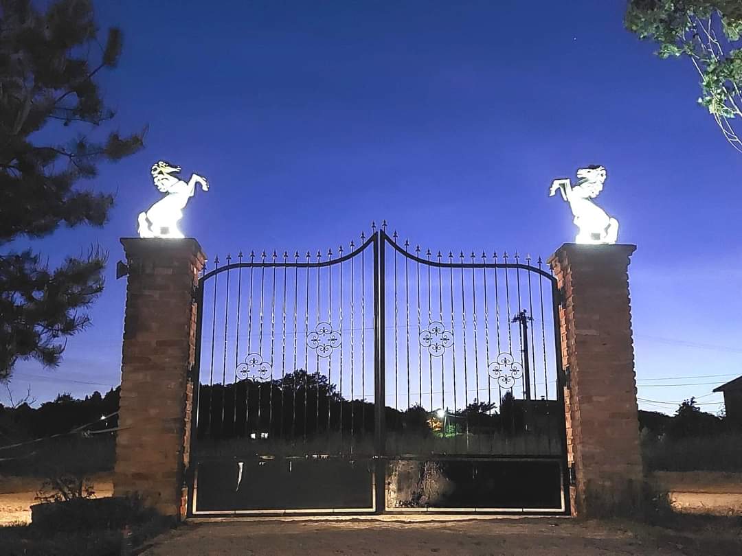 contessa draganic (51)