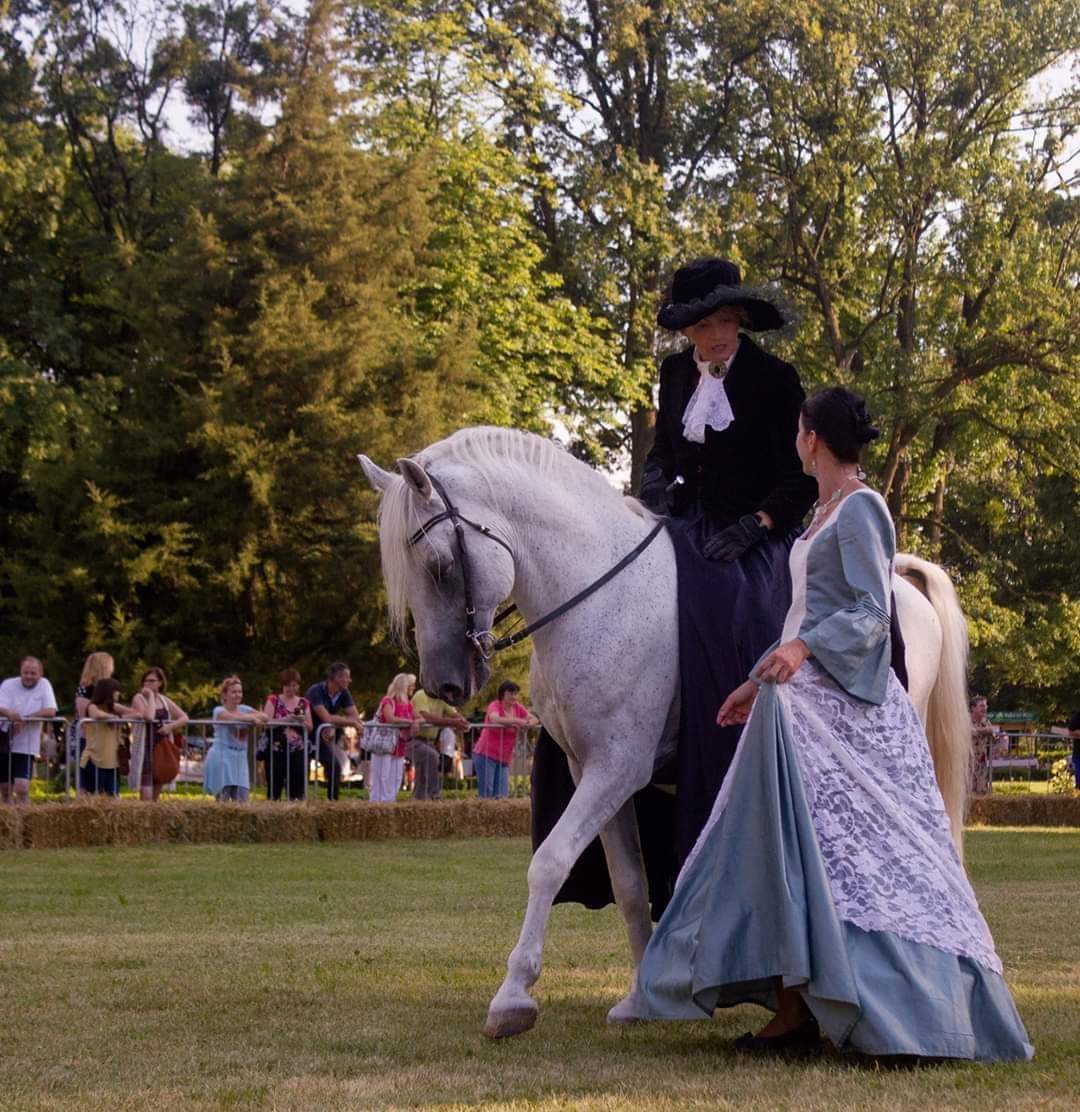 contessa draganic (52)