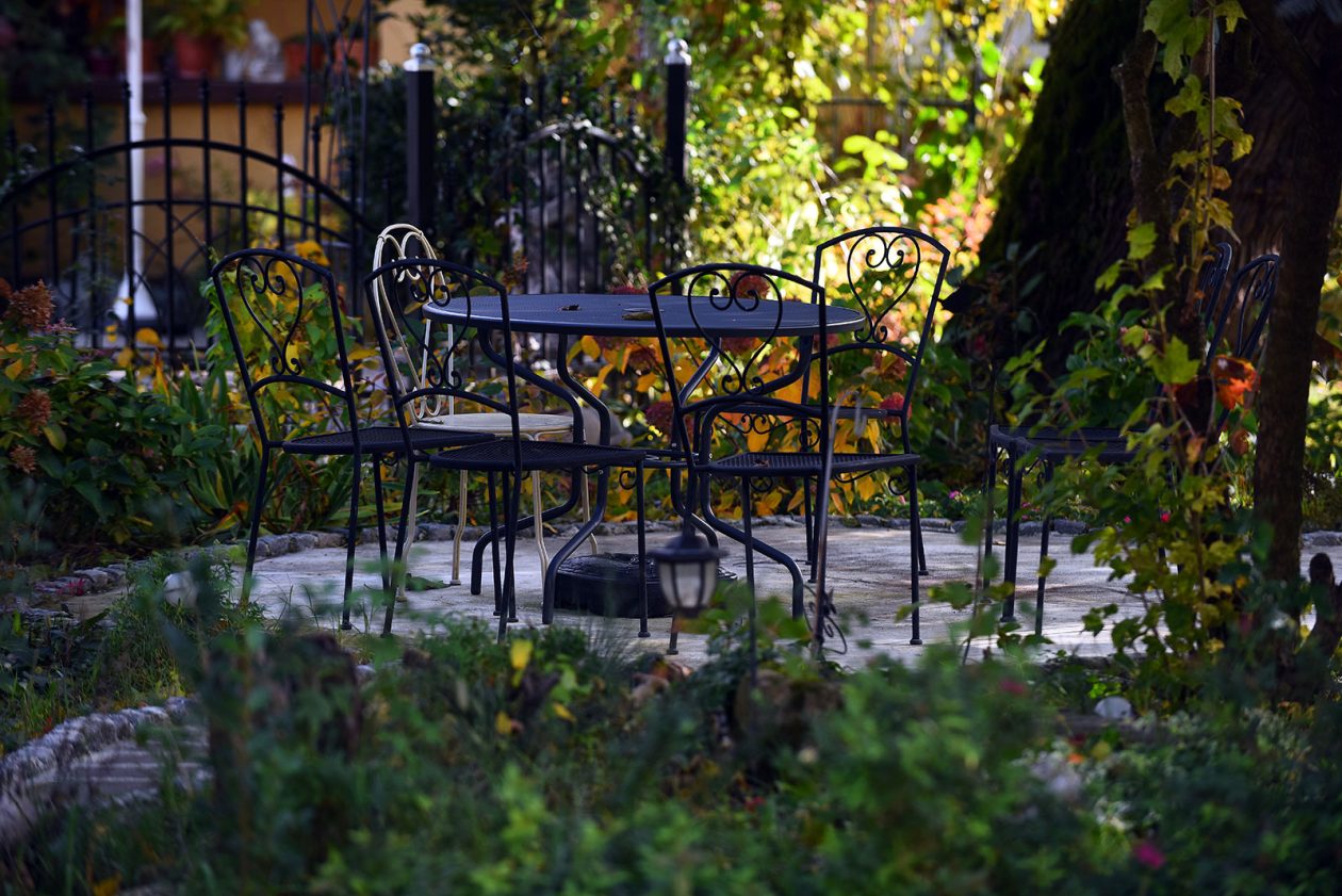 contessa draganic (6)