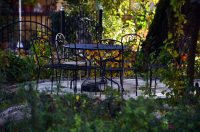 contessa draganic (6)