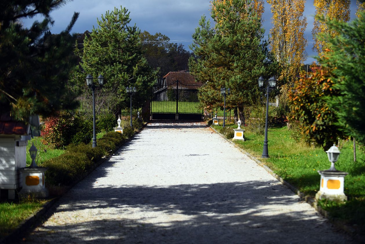 contessa draganic (8)