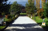 contessa draganic (8)