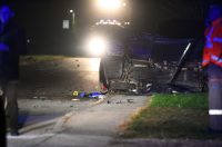 crna prometna poginuli (1) crna prometna poginuli (1)