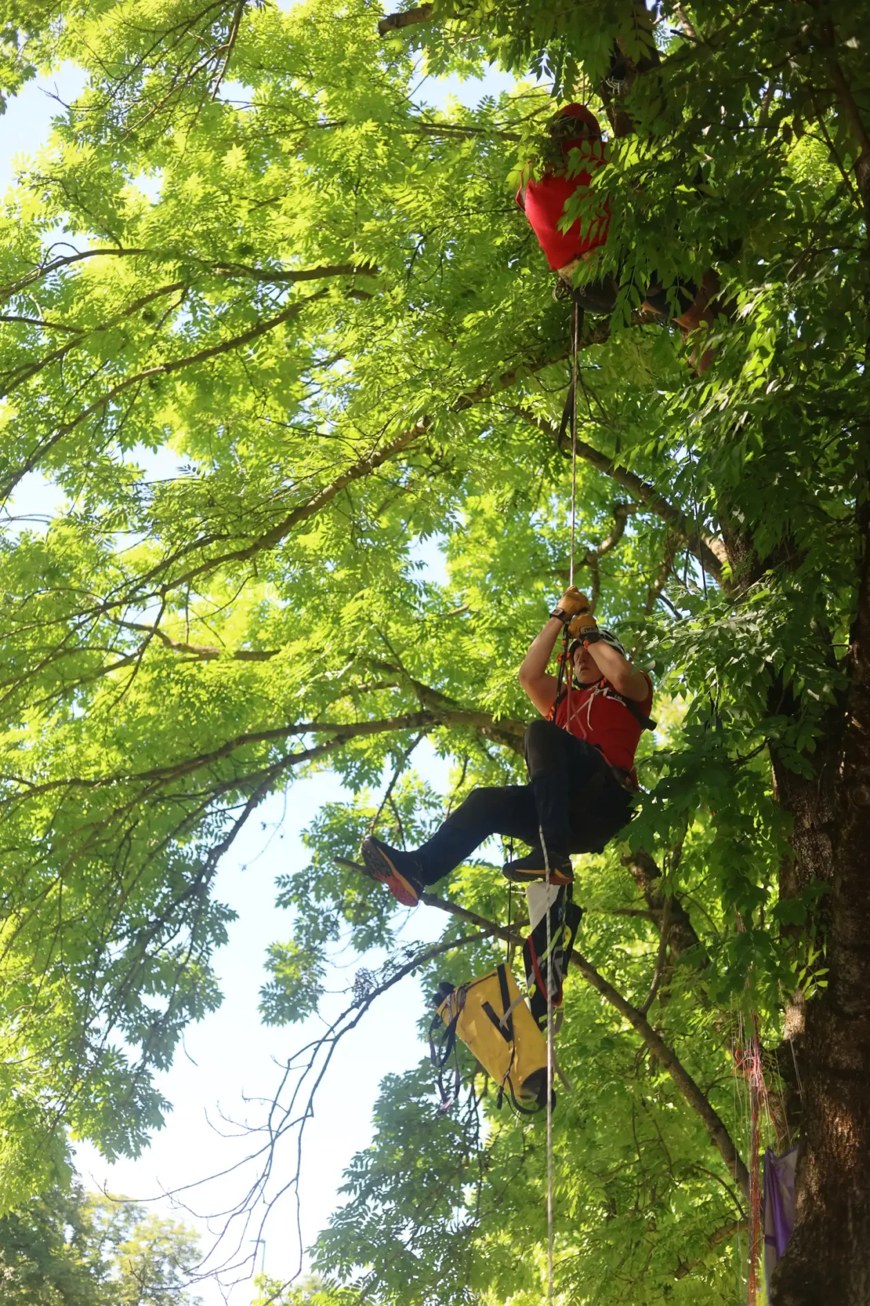 dan drzavnosti vunsko polje (4) dan drzavnosti vunsko polje (4)