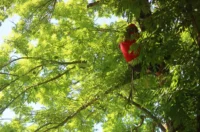 dan drzavnosti vunsko polje (4) dan drzavnosti vunsko polje (4)