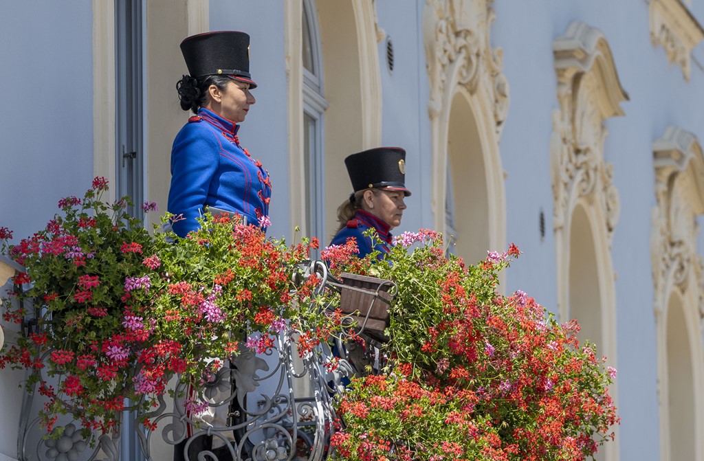 dan grada katzler (27)