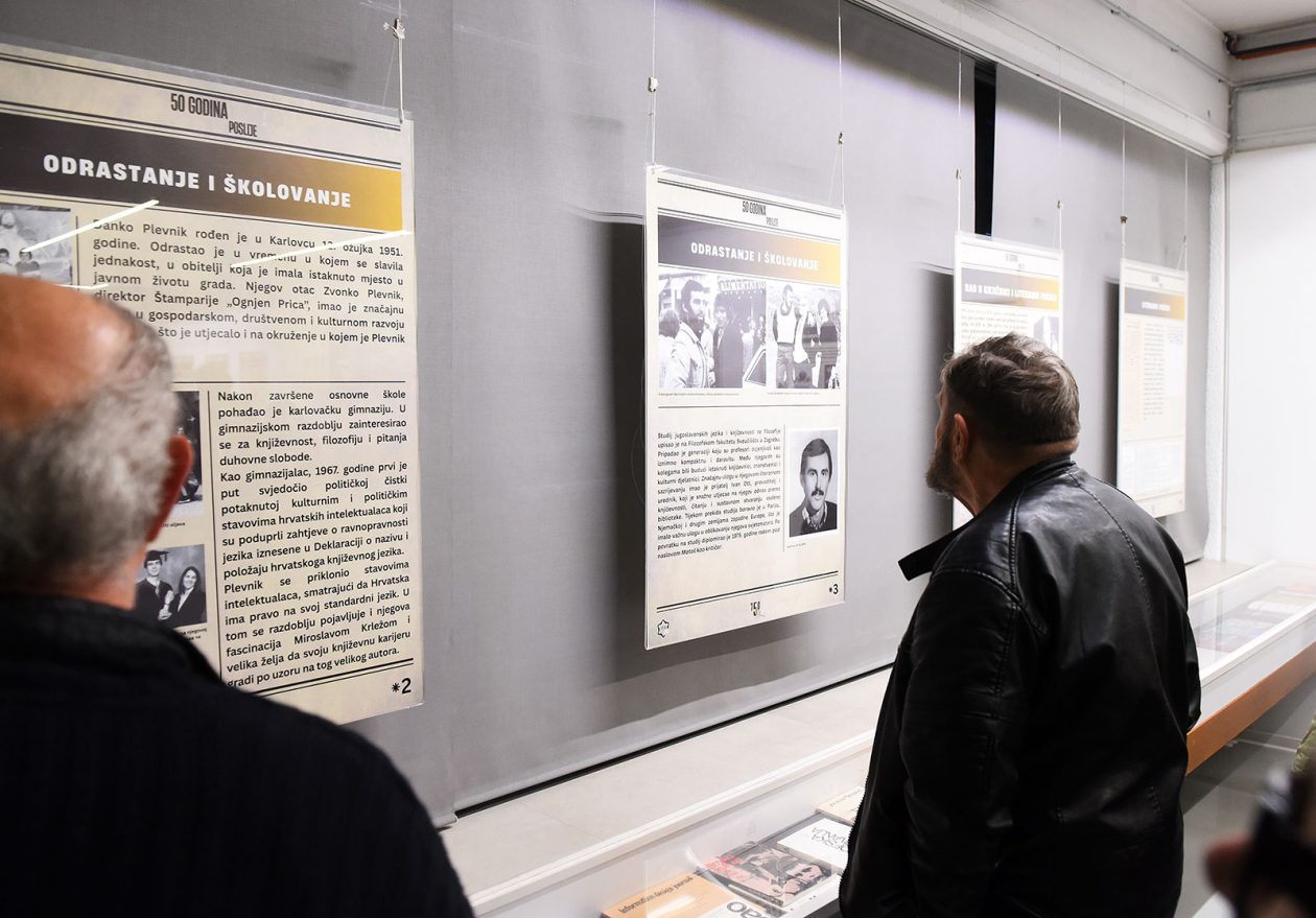 danko plevnik izlozba (2)