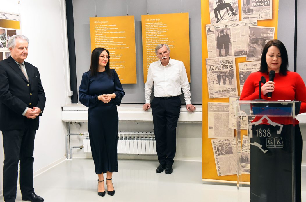 danko plevnik izlozba (28)