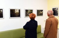 denis stosic izlozba (1) denis stosic izlozba (1)