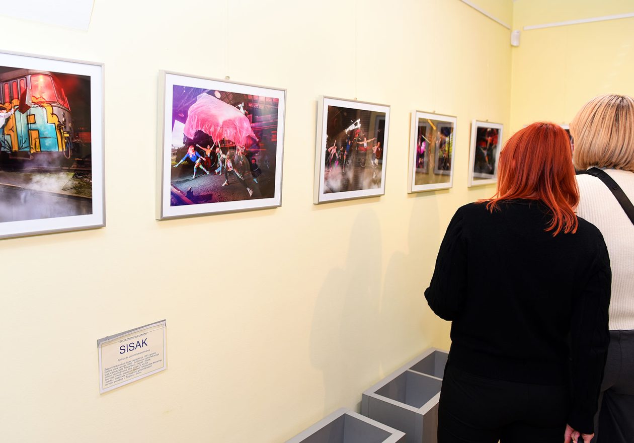 denis stosic izlozba (10) denis stosic izlozba (10)