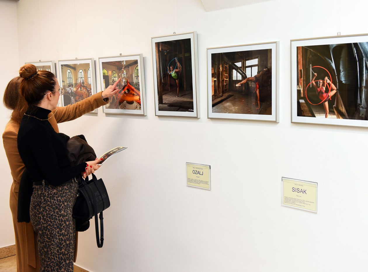 denis stosic izlozba (15) denis stosic izlozba (15)