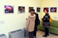 denis stosic izlozba (2) denis stosic izlozba (2)